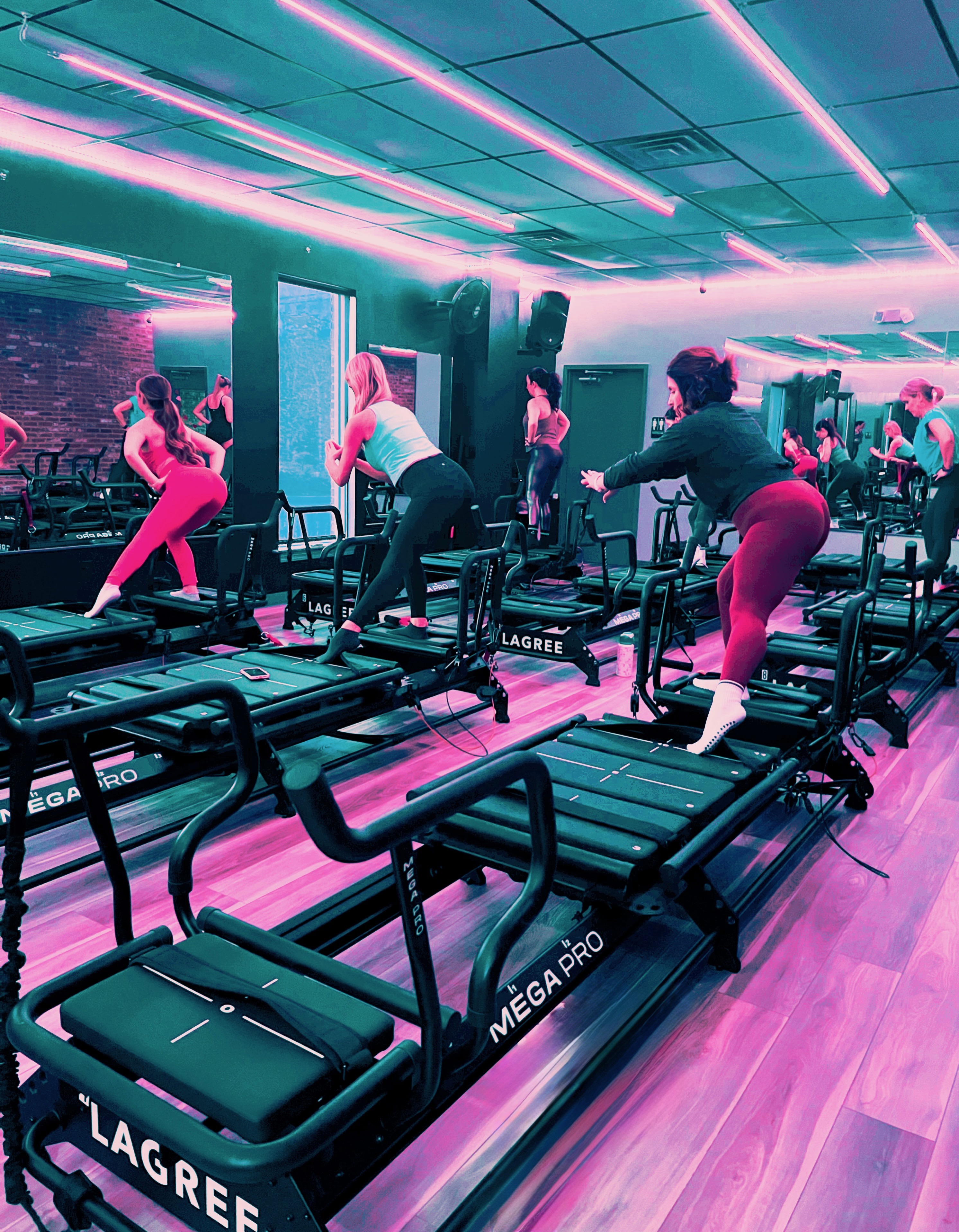 Row of reformer machines in the studio